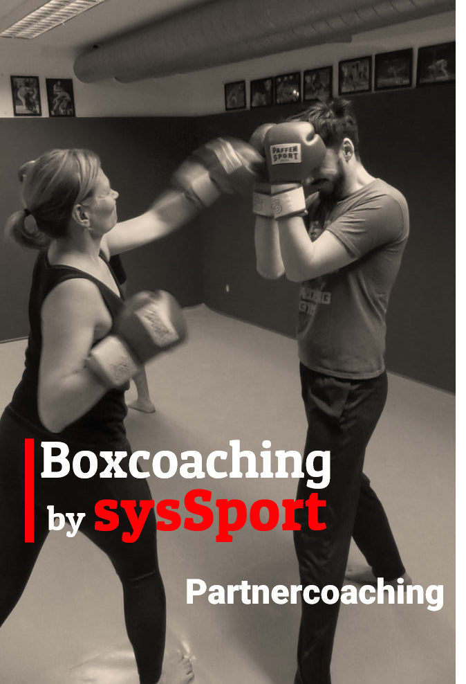 Boxcoaching sysbox