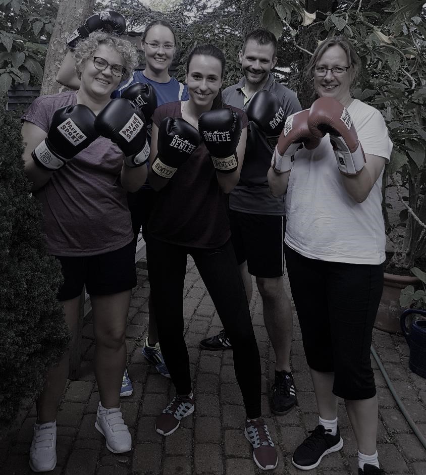 Teamcoaching Boxcoaching Teamentwicklung
