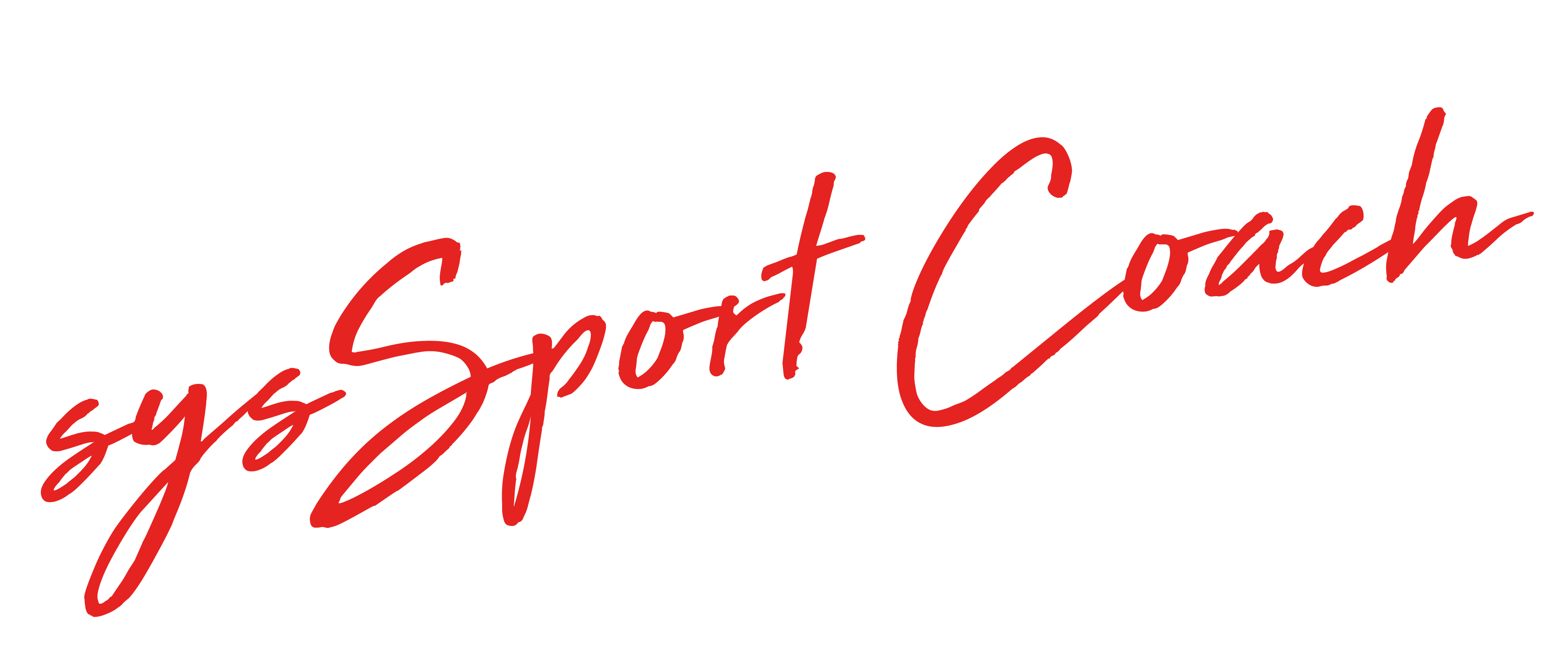 syssport Coach rot
